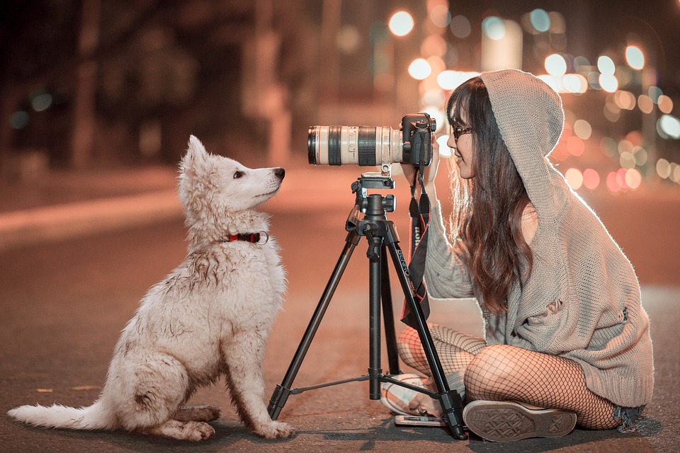 Как фотографировать животных