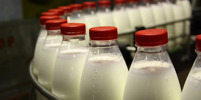 Как по маслу: В Воронежской области откроется новый молочный завод