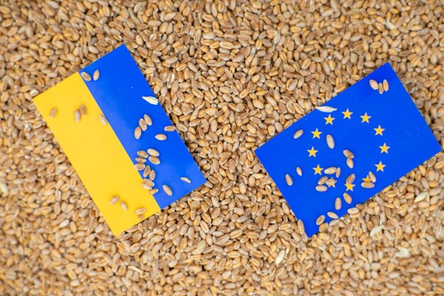 grain export from Ukraine to Europe